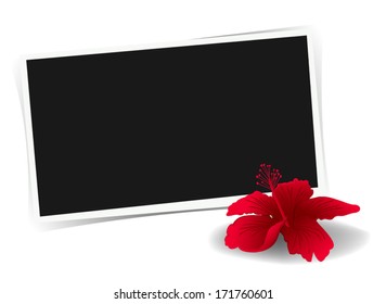 Photo frame and flower. 
