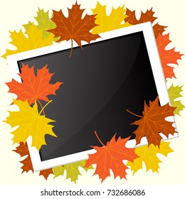Photo frame placed with autumn leaves.