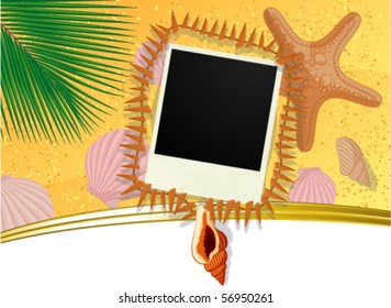 Marco fotográfico con conchas marinas en la arena de la playa. Vector.