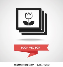 photo icon
