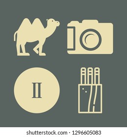 photo icon set with camel, rome two and pencils vector illustration