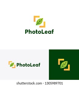 photo leaf logo vector icon illustration