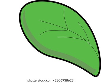 Foto del vector de hoja verde de centro comercial