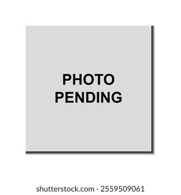 Photo pending box on white background. no image available. photo coming soon. photo empty. image space area. button. stock photo not available