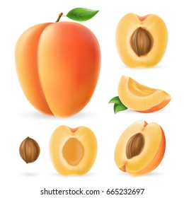 Photo realistic apricot set. Full editable, isolated on white. Fresh apricot, sliced, pieces.