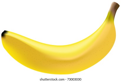 Photo Realistic Banana Isolated On White Stock Vector (Royalty Free ...