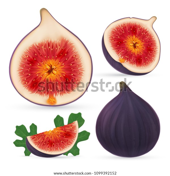 Photo realistic figs set. Full editable, isolated on white. Ripe