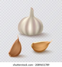 Photo Realistic Garlic Isolated On White Background. Vector Format