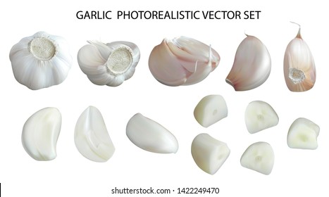 Photo realistic garlic with segments, peeled cloves, chopped slices, isolated on white background. Tasty ingredient for eating and cooking. 3d quality realistic vector icon set, menu illustration.