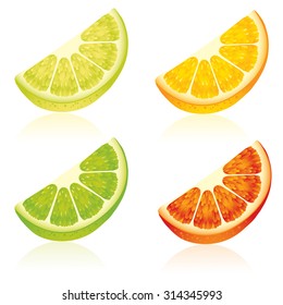 Photo realistic illustration of colorful slices of lemon, orange, lime and grapefruit  on white background.
