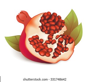 Photo realistic illustration of pomegranate with seeds on white background.
