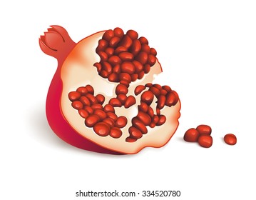 Photo realistic illustration of pomegranate with seeds on white background.
