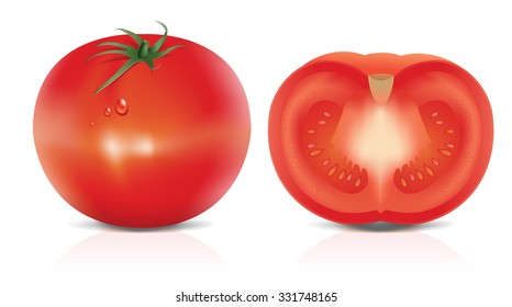 Photo realistic illustration of tomato on white background.
