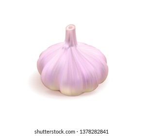 Photo realistic vector garlic on white background. Vector illustration.