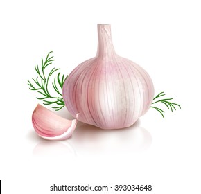  Photo realistic vector garlic on white background. Vector illustration.