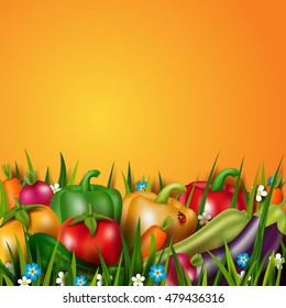 Photo realistic vector vegetables on the grass. Vegetarian healthy food. 3D effect. Concept design card with natural product.