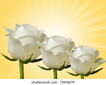 photo realistic white vector roses on a yellow background