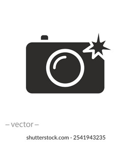 Luz de la toma de la foto, cámara con el icono del flash, concepto profesional de los paparazzi, proceso de la Fotografía, Ilustración vectorial plana