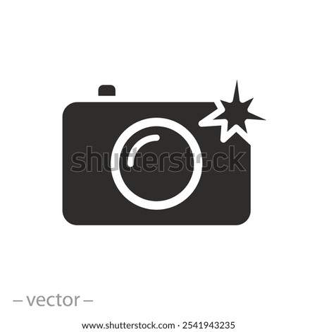 photo shot light, camera with flash icon, professional paparazzi concept, photography process, flat vector illustration