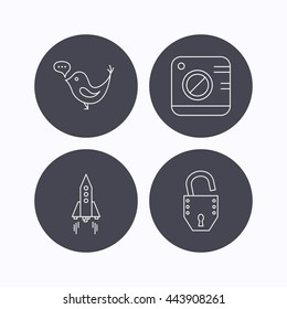 Photo, social media and rocket icons. Open lock linear sign. Flat icons in circle buttons on white background. Vector