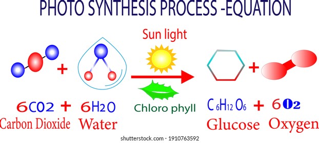Photo synthesis equation- glucose formation - co2- c6h12o6- sunlight- oxygen 
