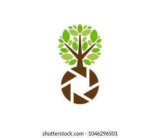 Photo Tree Icon Logo Design Element