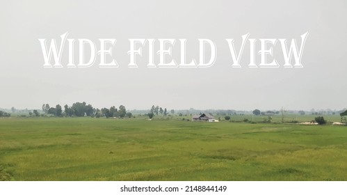 photo, vector, vast field, beautiful blue sky