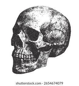 Photocopy effect of a human skull with grain effect. Scary skull in stipplism effect for Halloween. Frightening Halloween night