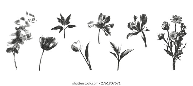 Photocopy stipple flowers set. Spring floral elements with orchid, sprout, cherry blossom, tulip. Retro grunge faded gritty noise texture. Vector illustration. 