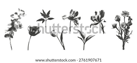 Photocopy stipple flowers set. Spring floral elements with orchid, sprout, cherry blossom, tulip. Retro grunge faded gritty noise texture. Vector illustration. 