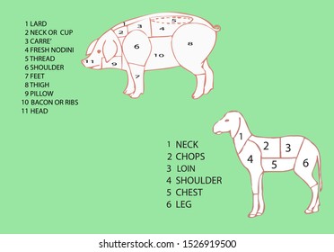 photograph of animal and lamb section of meat
