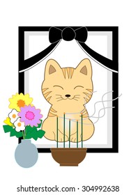 Photograph of the dead cat