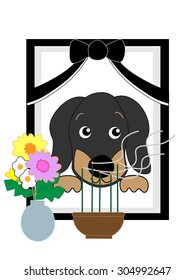 Photograph of the dead dog