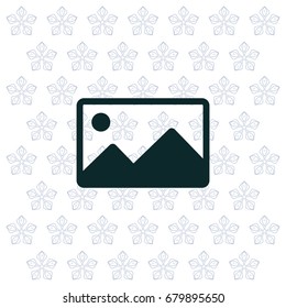 photograph icon