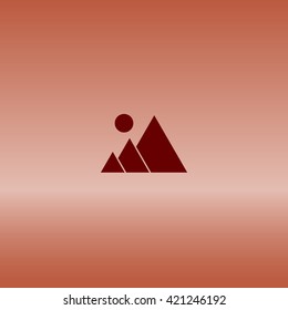 photograph - vector icon