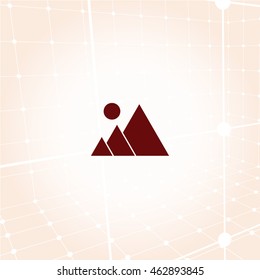 photograph - vector icon