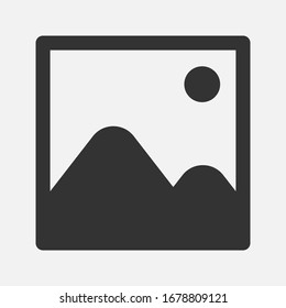 photograph vector icon on background