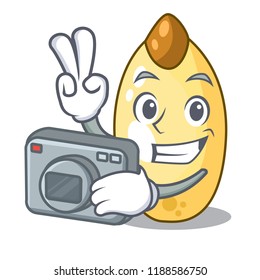 Photographer cedar pine nuts on a cartoon