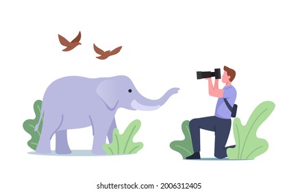 Photographer Character Shoot Elephant and Birds Making Low-frequency Infra Sound Waves with Frequency Below the Lower Limit of Human Audibility Scientific Concept. Cartoon People Vector Illustration