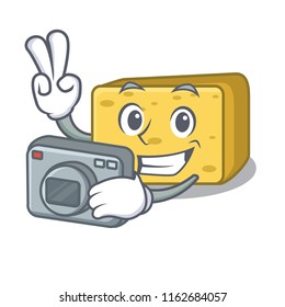 Photographer gouda cheese pieces cartoon