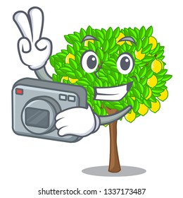 Photographer lemon tree cartoon next the house