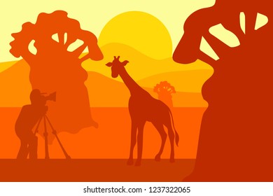 Photographer photographs giraffe in nature
