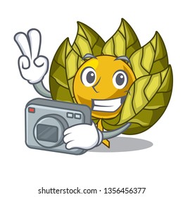 Photographer physalis fruit isolated in the character