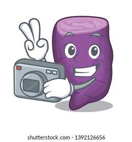 Photographer purple sweet potato in mascot basket