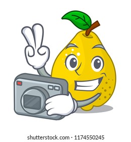 Photographer ripe yellow quince fruit on mascot