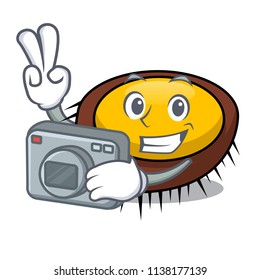 Photographer sea urchin mascot cartoon