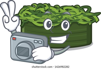 Photographer wakame chuka in the character shape