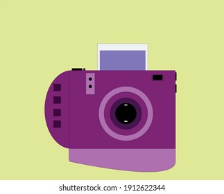 Photographic camera with instant development