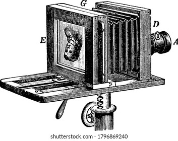 In photography, a bellows is the accordion-like, pleated expandable part of a camera, usually a large or medium format camera, to allow the lens to be moved with respect to the focal plane for focus