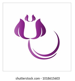 Photography Icon Vector Logo Template